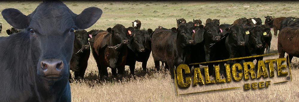 “This is a landmark event in the beef industry.”